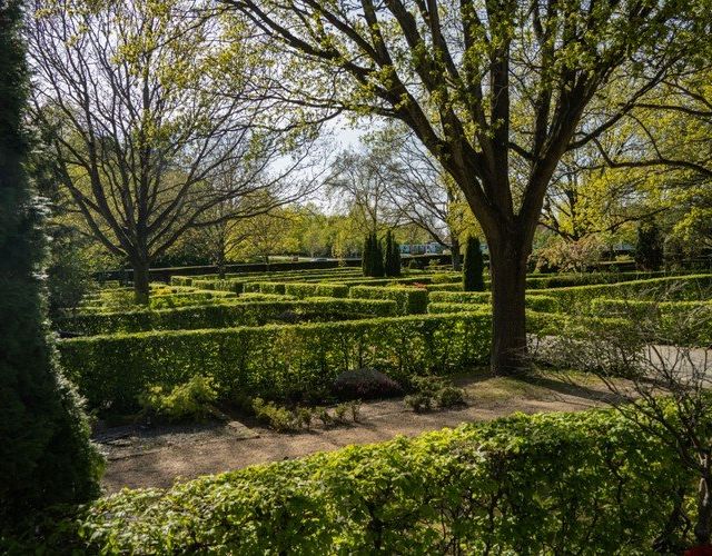 Dalum Kirkegård