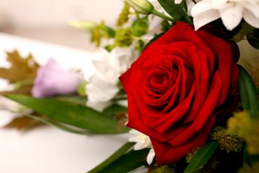blomster 